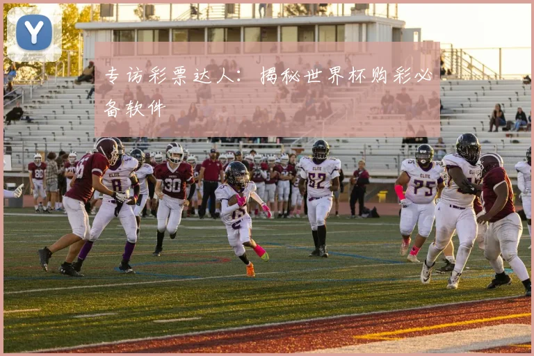 专访彩票达人:揭秘世界杯购彩必备软件