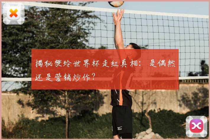 揭秘樊玲世界杯走红真相:是偶然还是营销炒作?