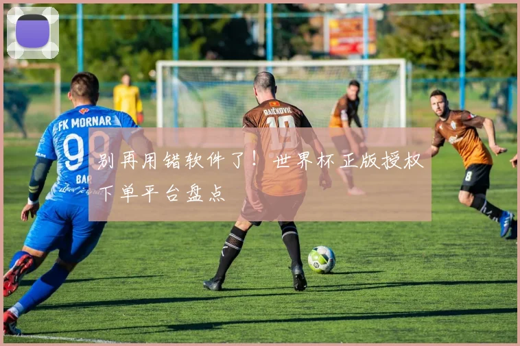 别再用错软件了！世界杯正版授权下单平台盘点